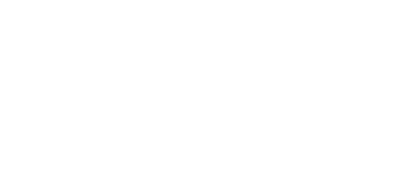 CSS