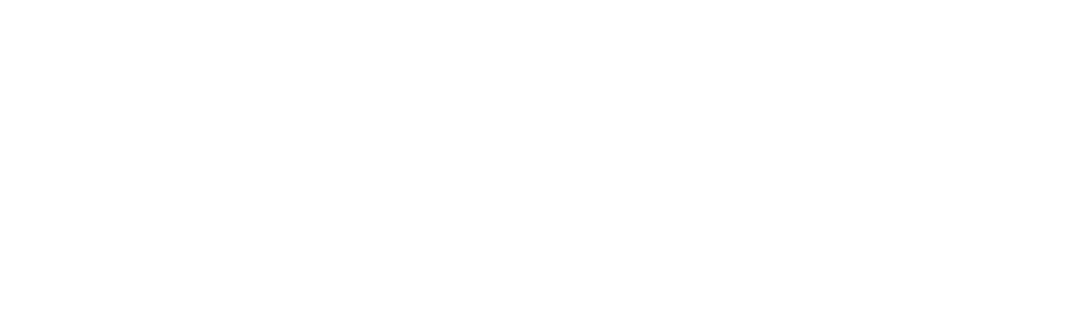 Visana